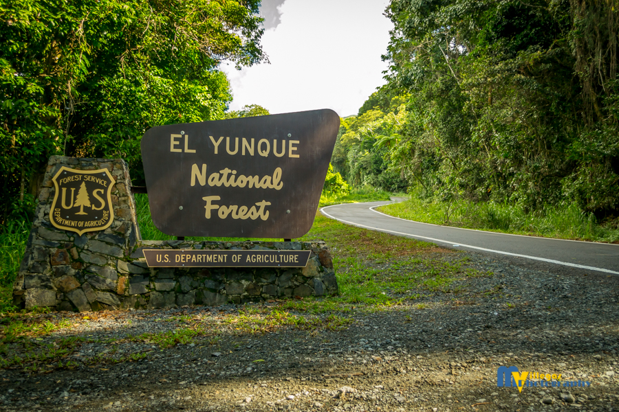 Entrance to El Yunque Rain Forest